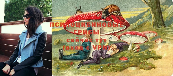 прущие грибы Липки