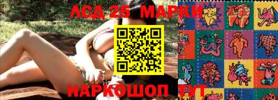 дмт Донской