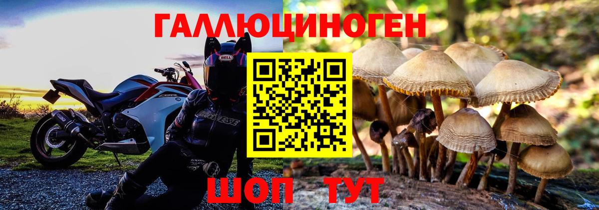 Галлюциногенные грибы Magic Shrooms  Керчь 