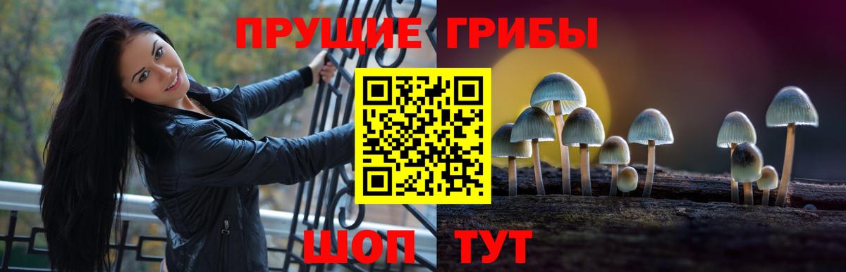 Галлюциногенные грибы Magic Shrooms  Галлюциногенные грибы Psilocybine cubensis  Вход с VPN  Керчь 